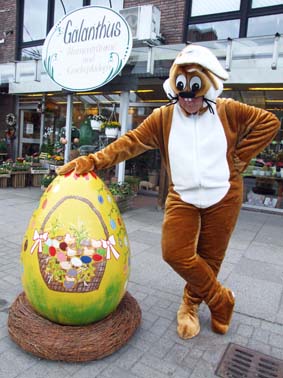 OSTERHASE